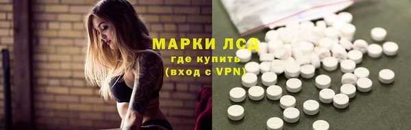 сатива Арсеньев