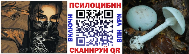 где найти наркотики  Райчихинск  Псилоцибиновые грибы ЛСД 